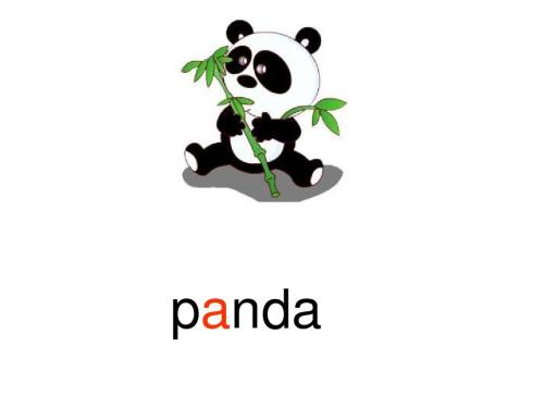panda怎么读英语,panda怎么读英语怎么说中文