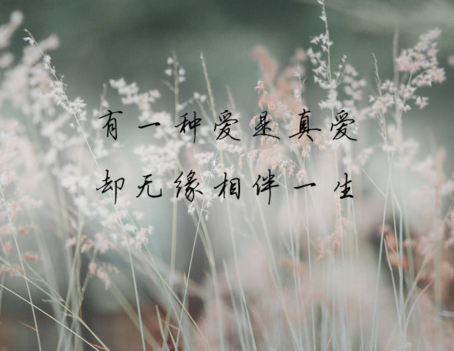 爱过一生无缘的人是什么歌