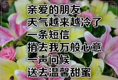 关于天气变冷关心的祝福语,天气变冷的祝福信息
