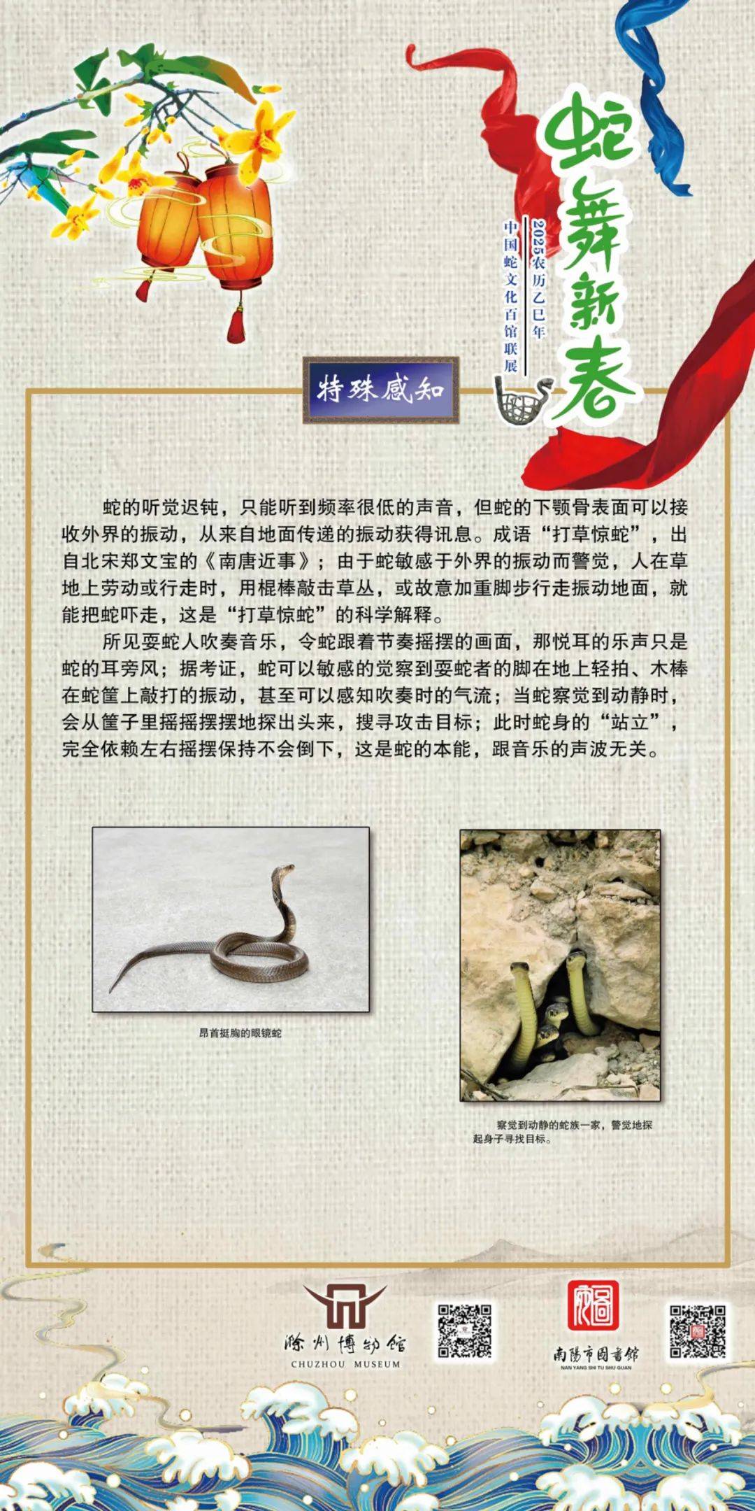 蛇的资料