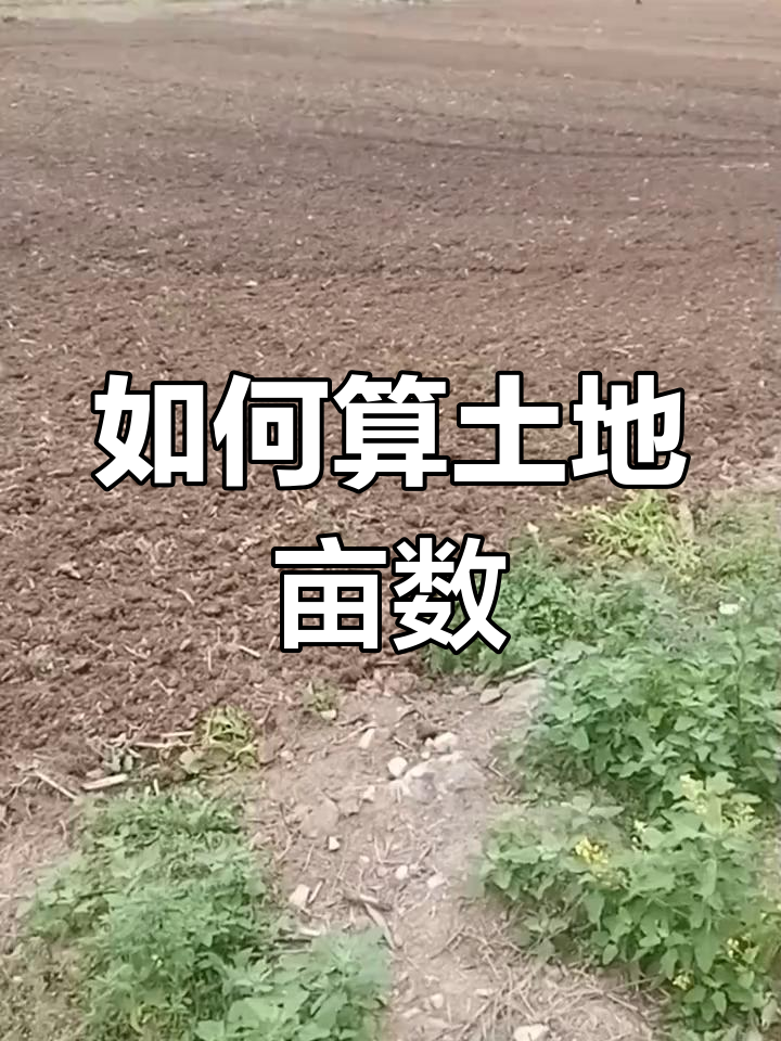 一亩地是几米x几米,一亩地是几米x几米宽