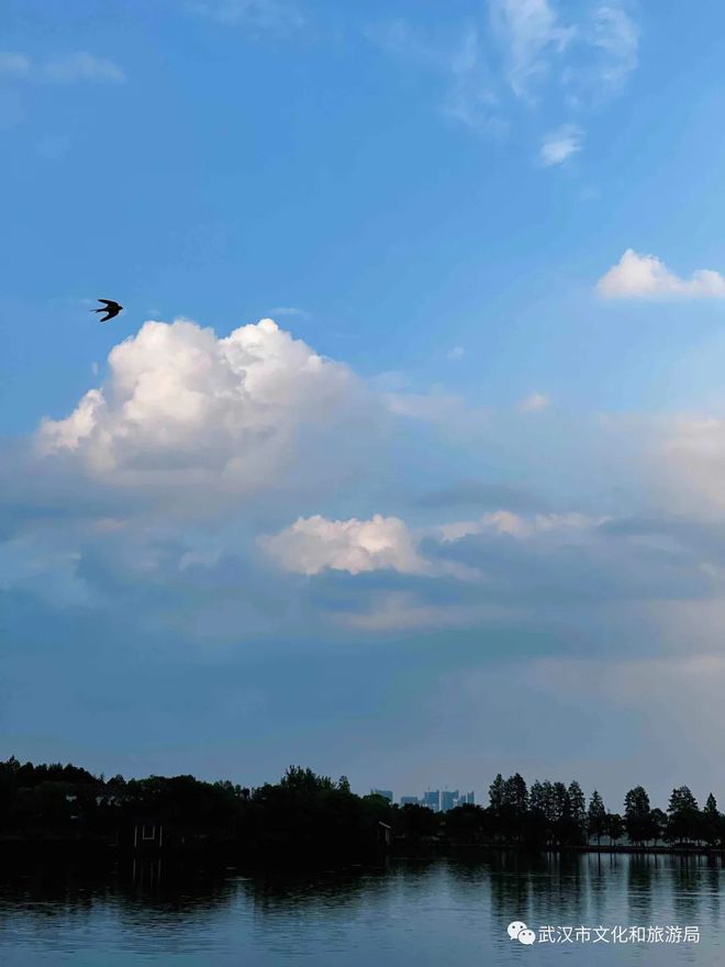 2025年9月20日 第31页