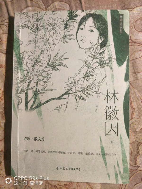 林徽因的经典作品有哪些