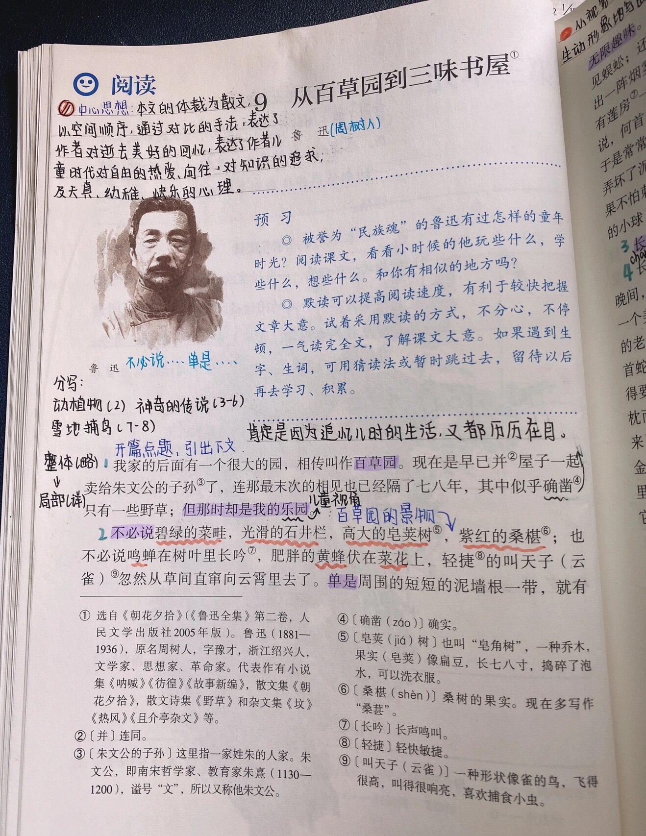 从百草园到三味书屋课文赏析