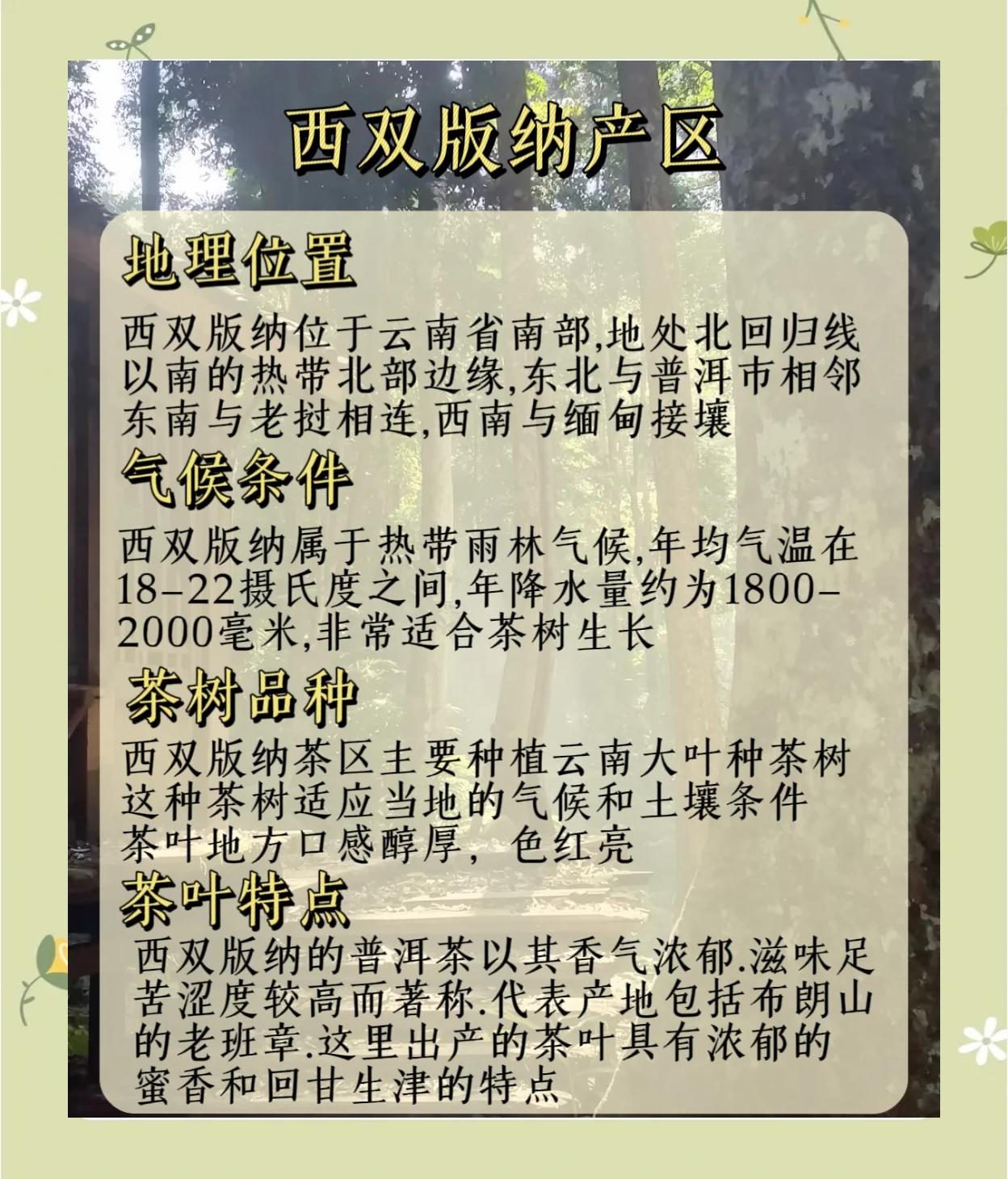 普洱茶产地在什么地方,普洱茶产地在什么地方最好