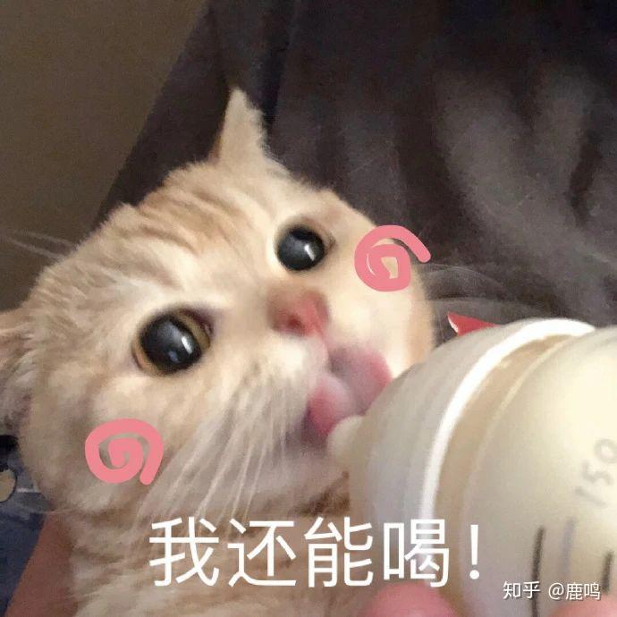 可甜可盐可萌可御下一句