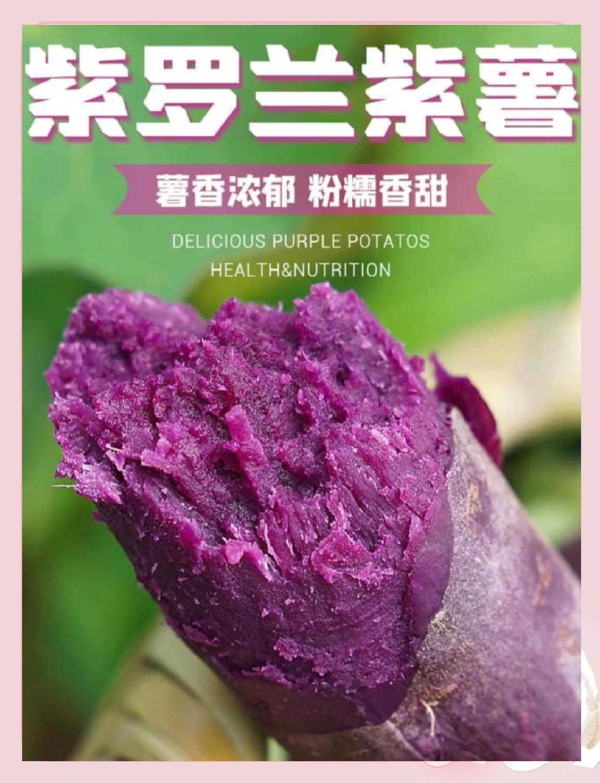 紫罗兰的功效与作用