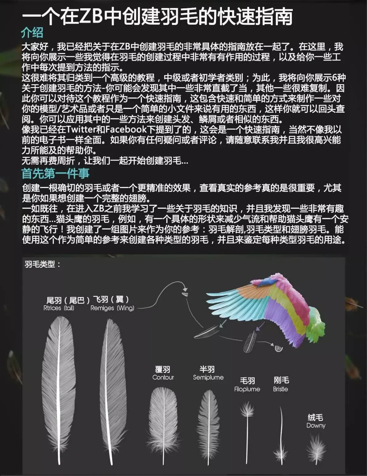 羽毛怎么念,羽毛读吗