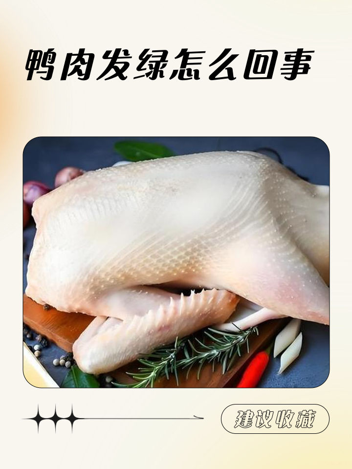 鸭肉属于发物吗
