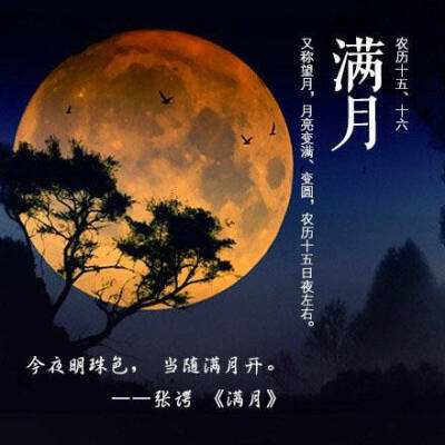 月有阴晴圆缺的出处,月有阴晴圆缺的全诗句