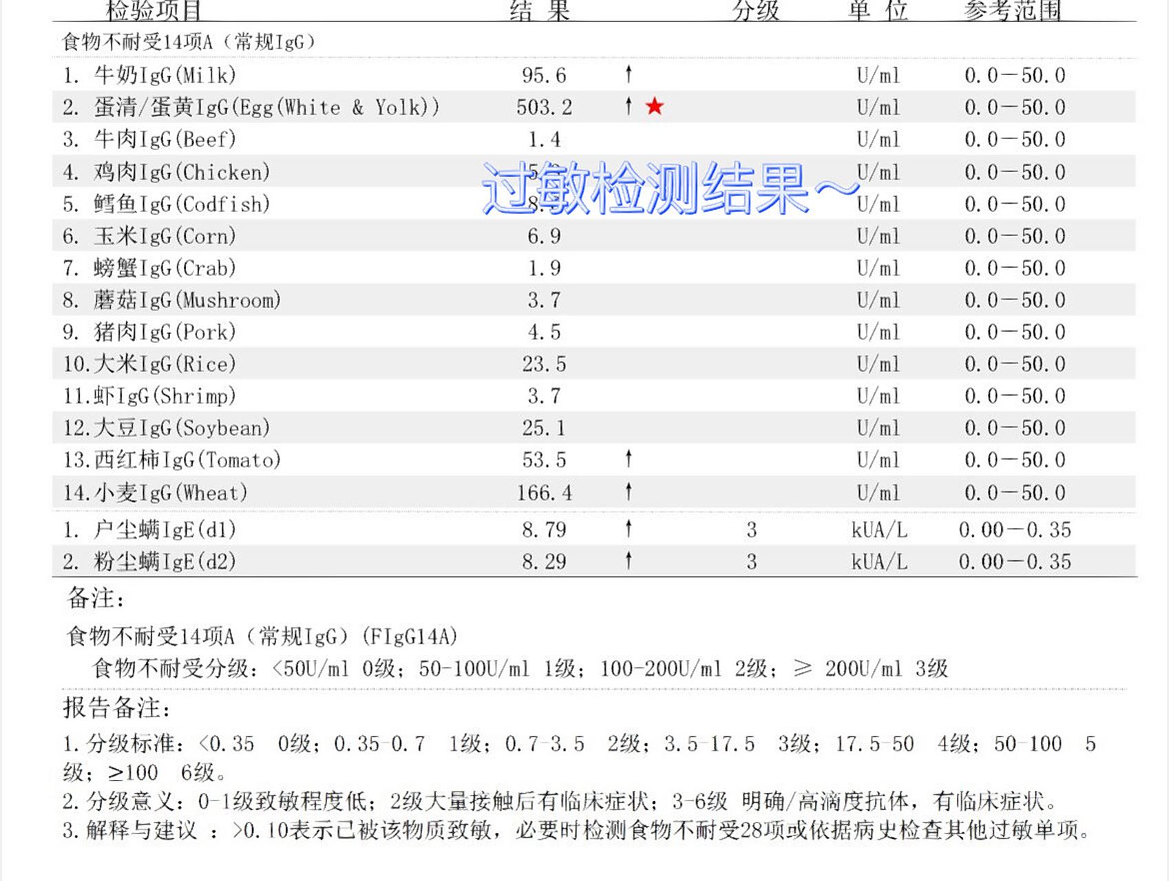 ige高是什么意思