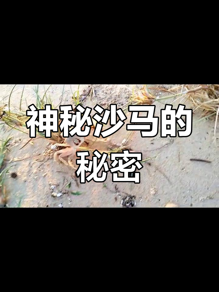 深不可测什么意思,深不可测怎么解释?