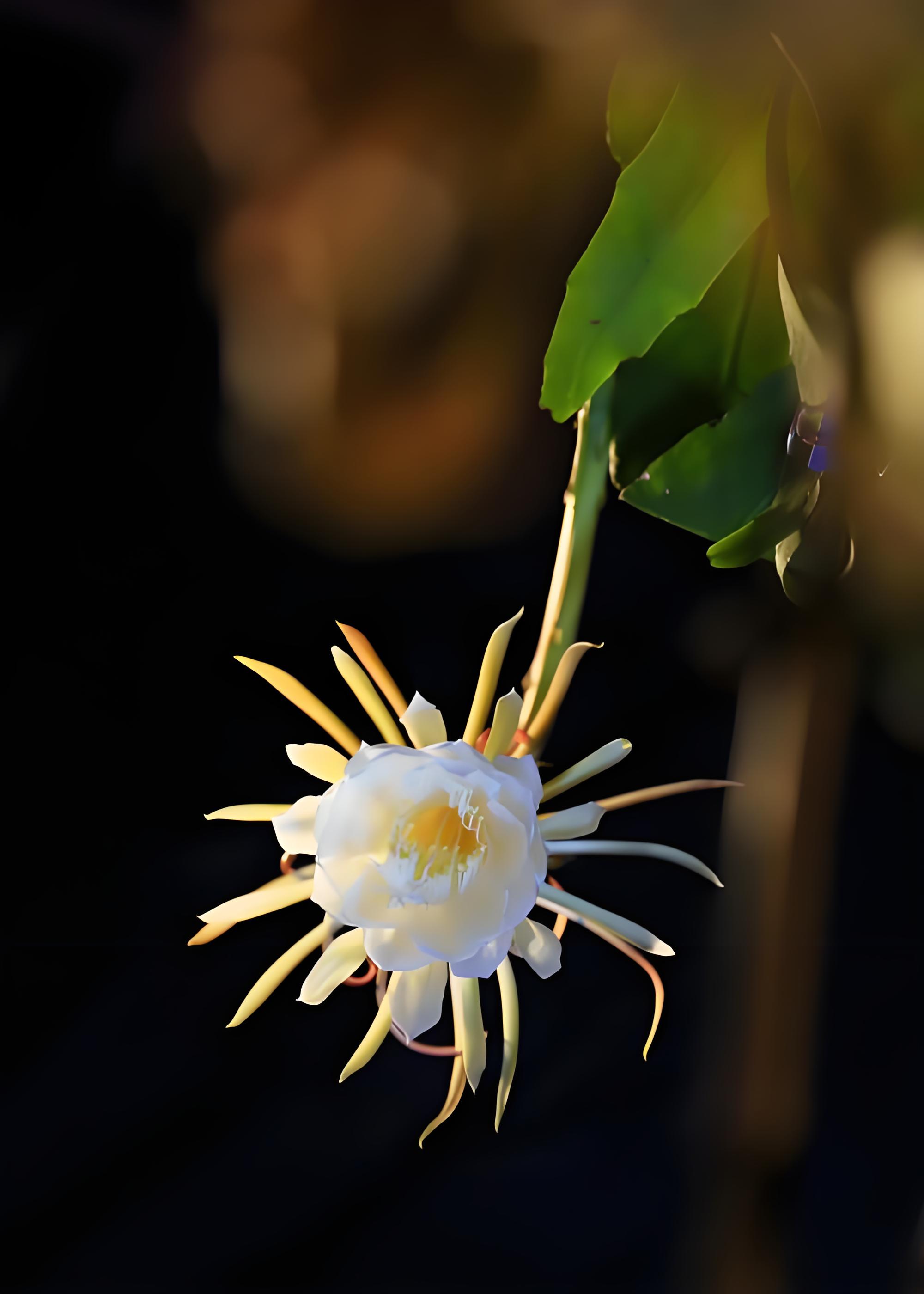 驱动精灵 第45页