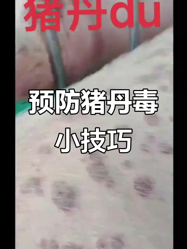 猪丹毒症状及最好的治疗方法,猪丹毒症状及最好的治疗方法视频