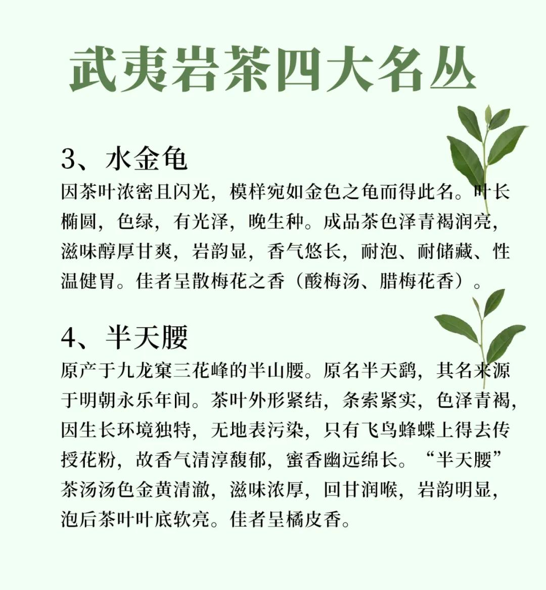 武夷山岩茶介绍,福建武夷山红茶品牌排行榜