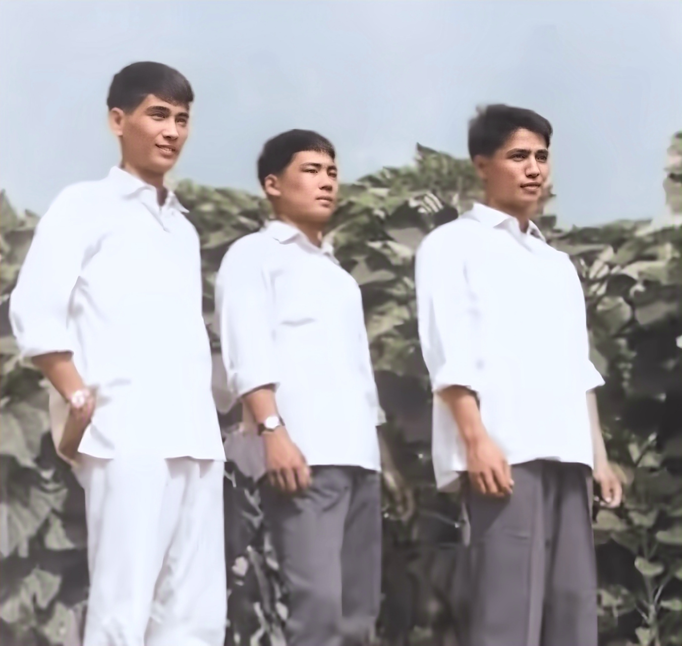 马三立的徒弟有哪些人？,