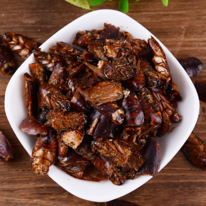 会飞的偷油婆是什么的意思,