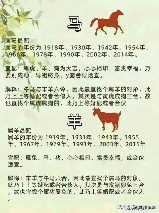 女肖是哪几个肖,夜肖的女肖是哪几个肖