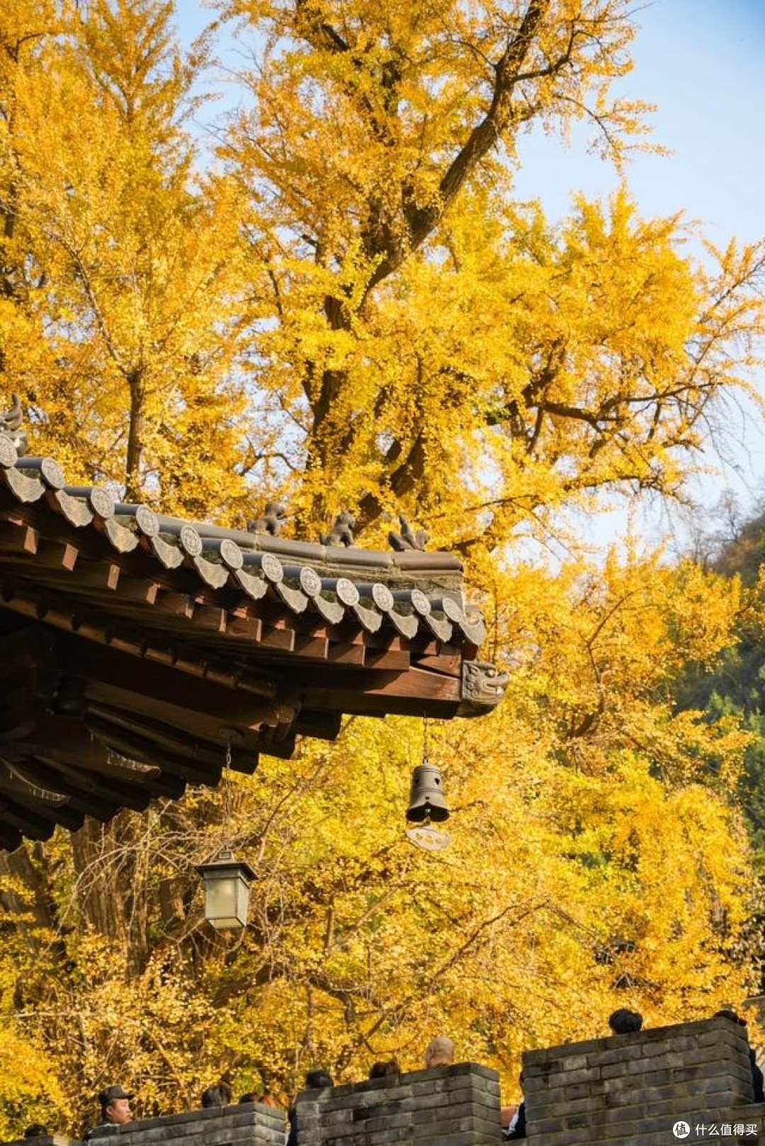 11月国内最佳旅游地方,11月份国内旅游哪里最好