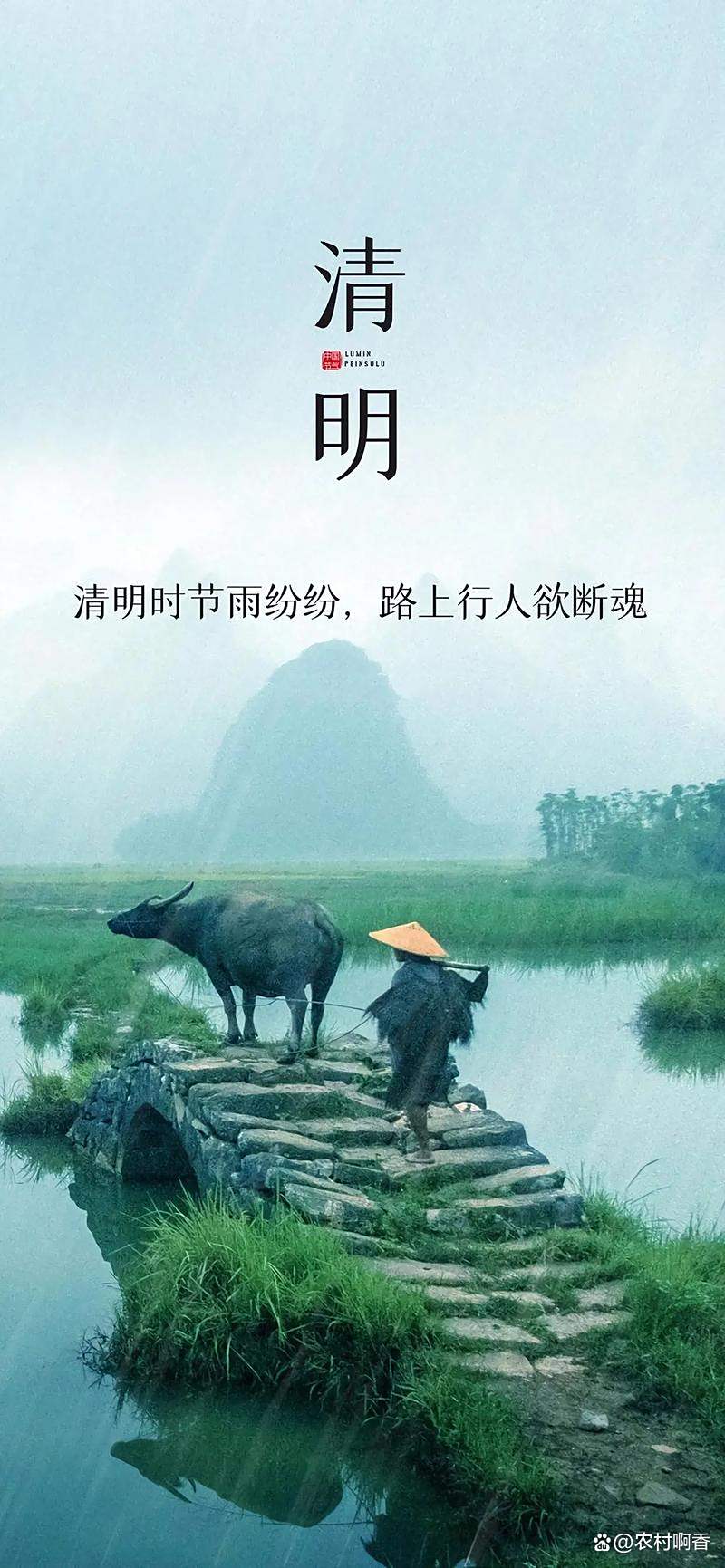 清明扫墓的禁忌,清明扫墓禁忌多 70岁以上别轻易上坟