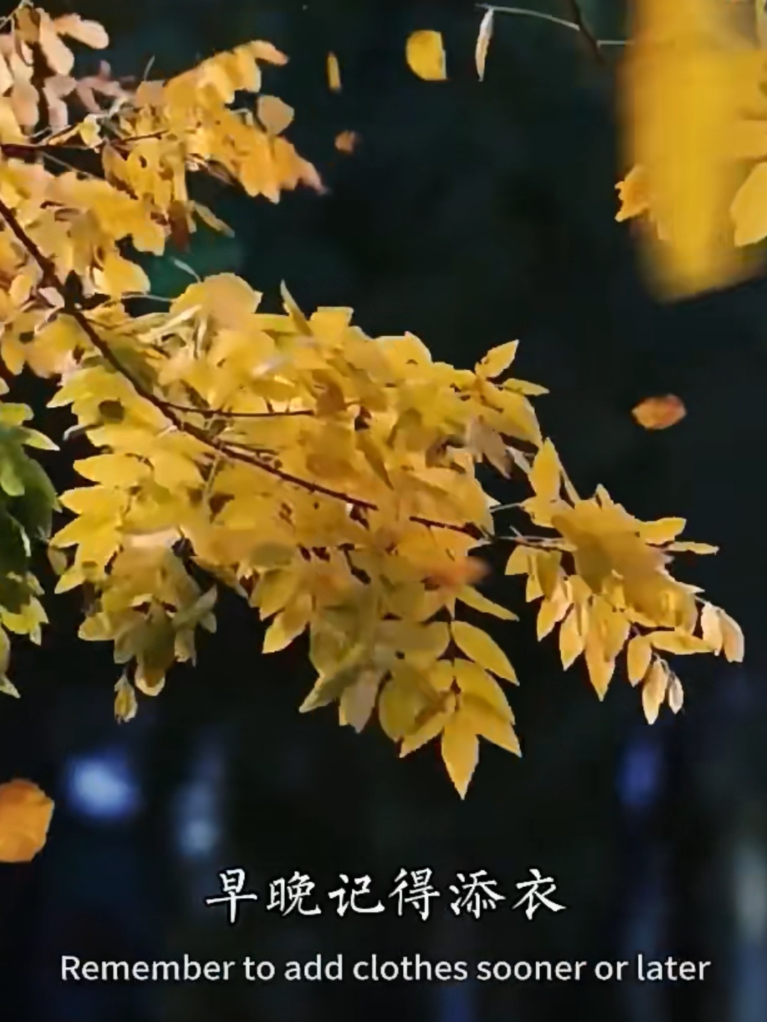 一场秋雨一场凉什么意思,一场秋雨一场凉含义