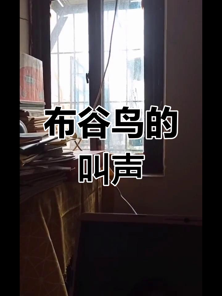 晚上布谷鸟叫吉凶大全,晚上布谷鸟叫有什么征兆