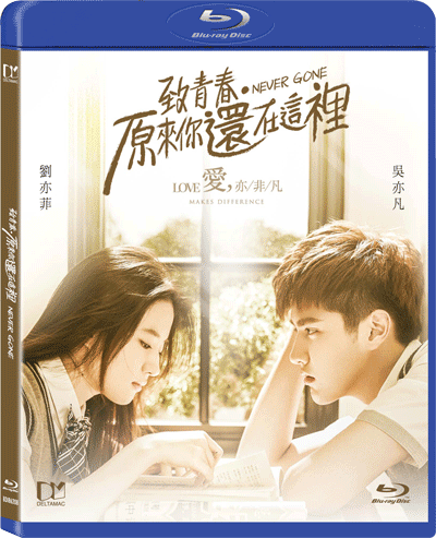 致青春原来你还在这里小说介绍,致青春原来你还在这里小说介绍结局