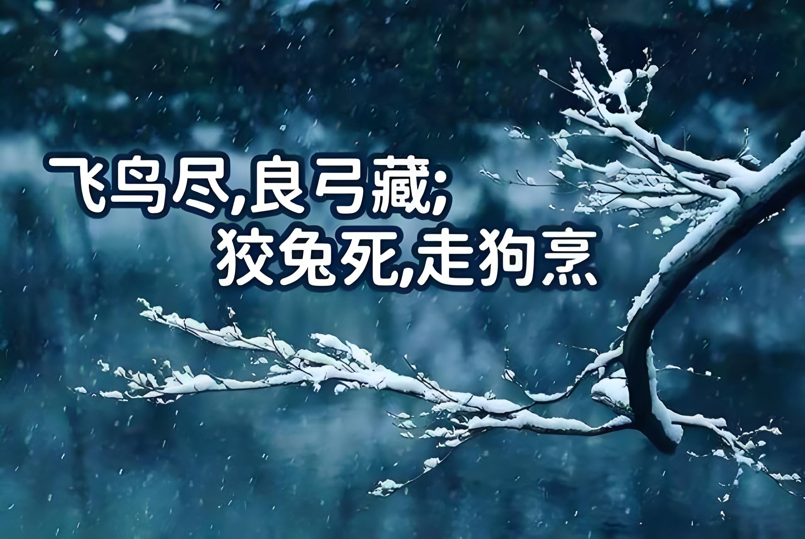 殇的意思是什么,祀我国殇的意思是什么