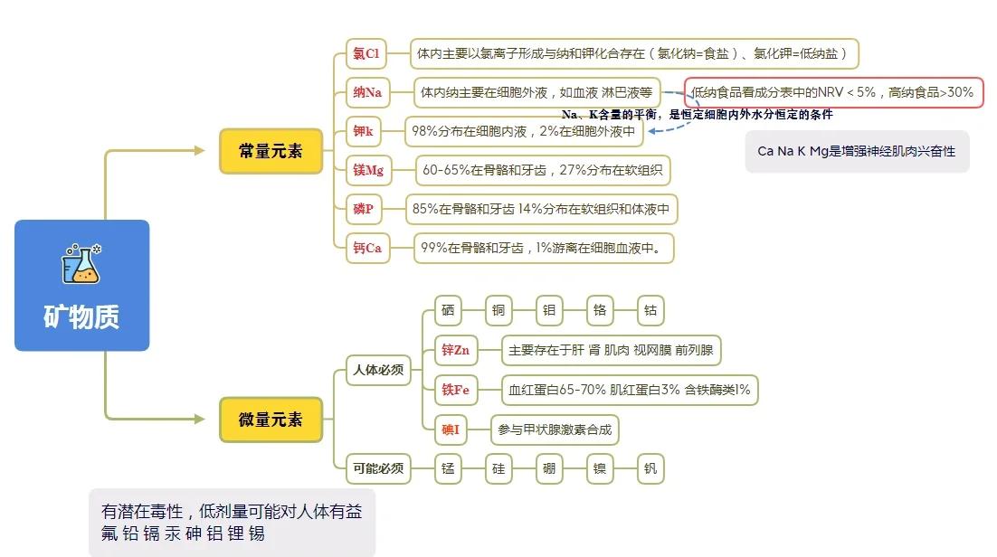 人体中含量最多的元素前四位元素是什么,人体中含量最多的元素是什么元素其次是什么元素