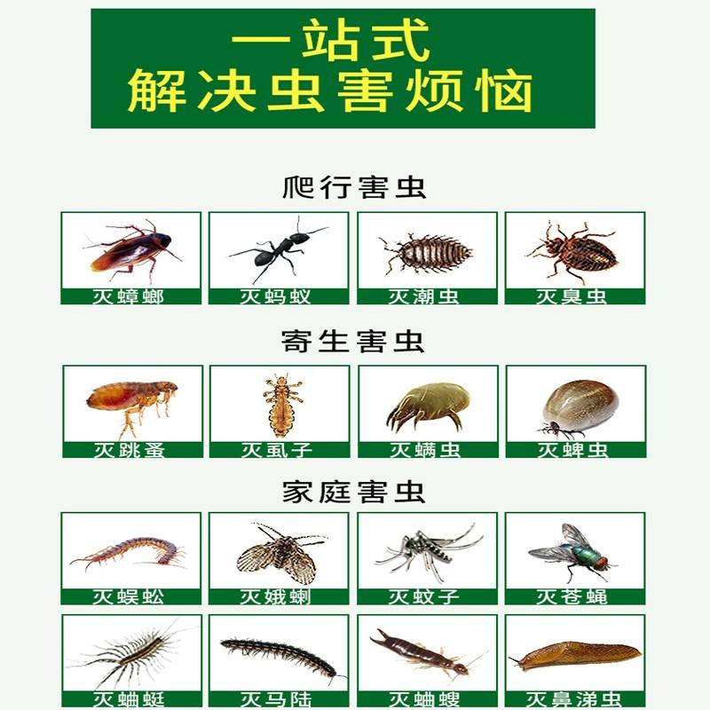 杀家里潮虫小妙招,杀家里潮虫小妙招视频