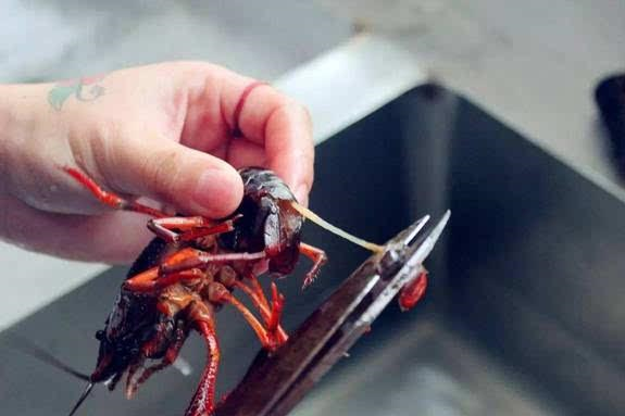 小龙虾怎么去虾线,小龙虾怎么去虾线视频教程