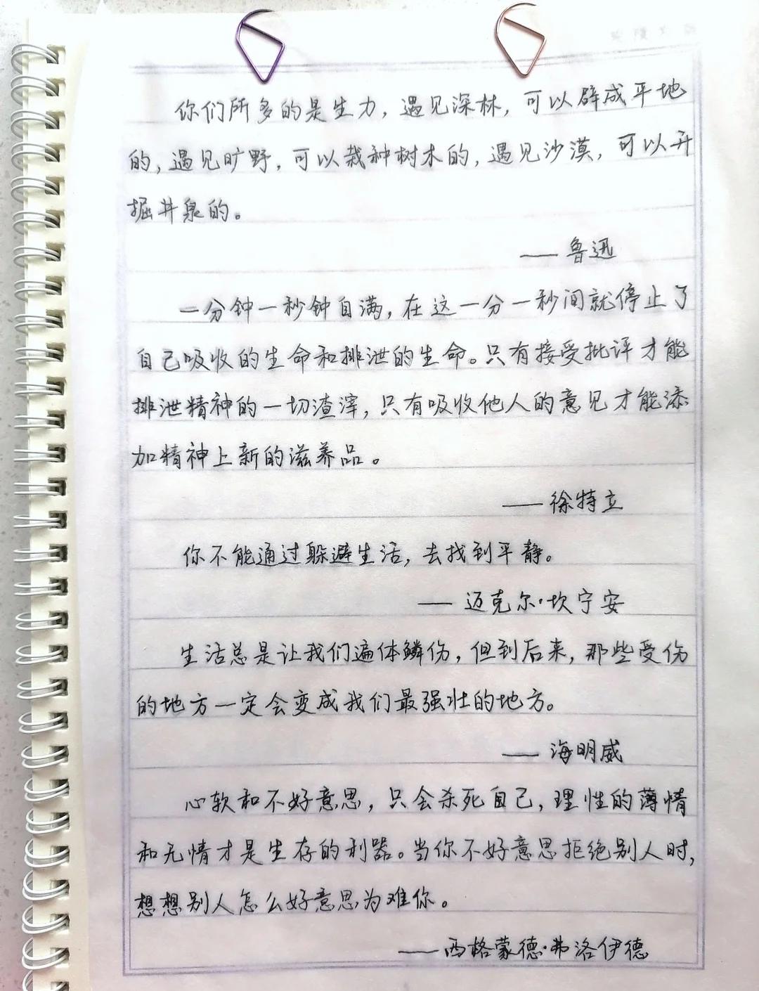 美文摘抄加赏析美文摘抄加赏析精选,美文摘抄加鉴赏