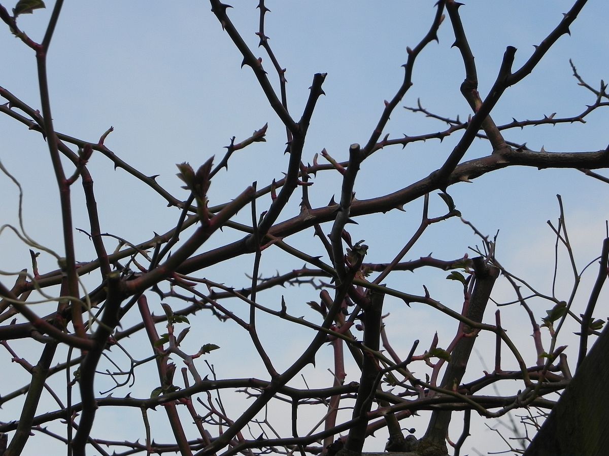 2025年9月29日 第13页