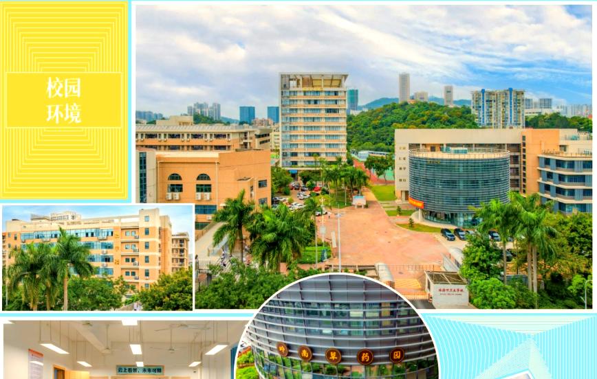 珠海卫校在哪里?,珠海市卫校电话号码