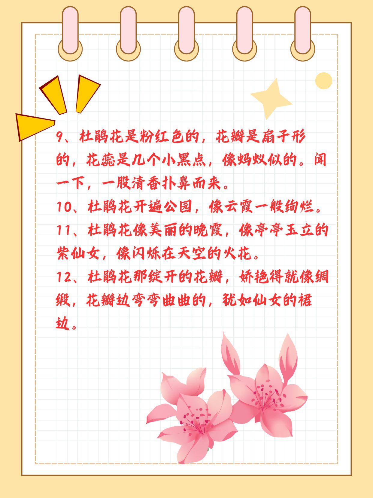 杜鹃花的花语,杜鹃花最忌讳三个生肖