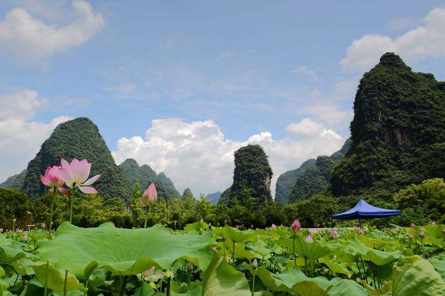 散客是什么意思,酒店散客是什么意思