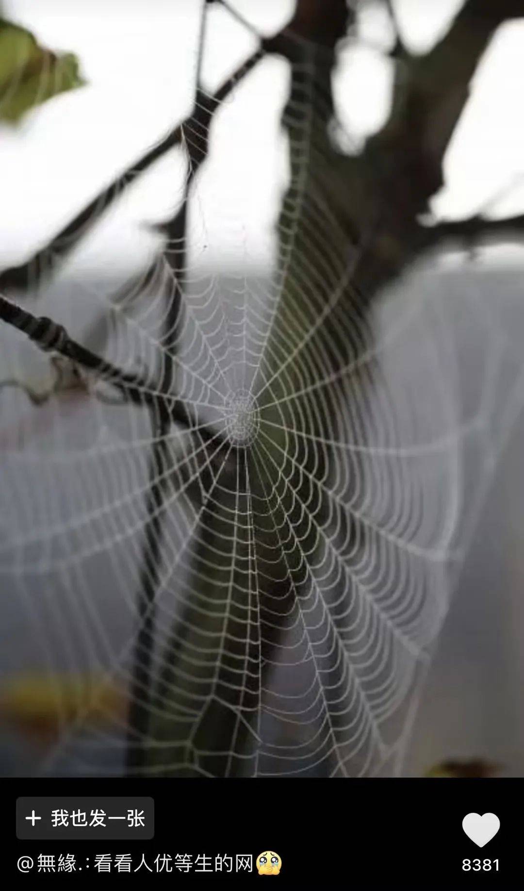 游民星空 第34页