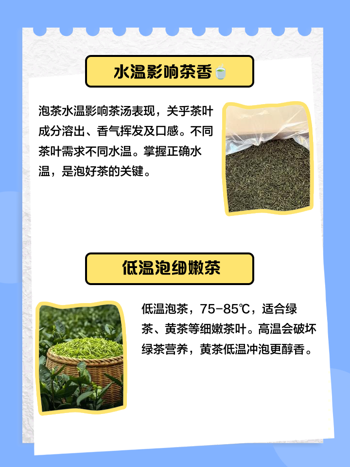 2025年10月 第1339页