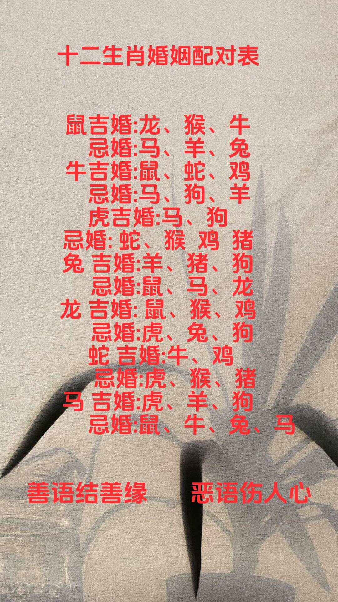 东南网 第35页