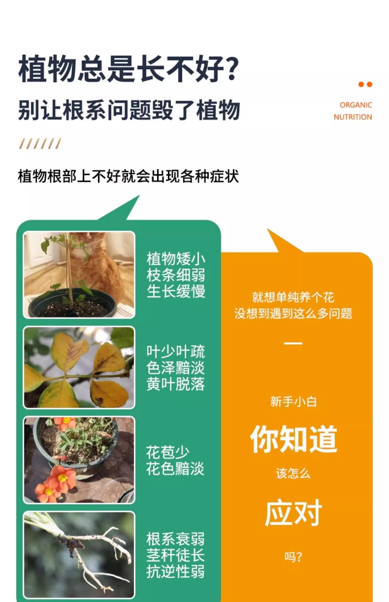 2025年10月2日 第23页