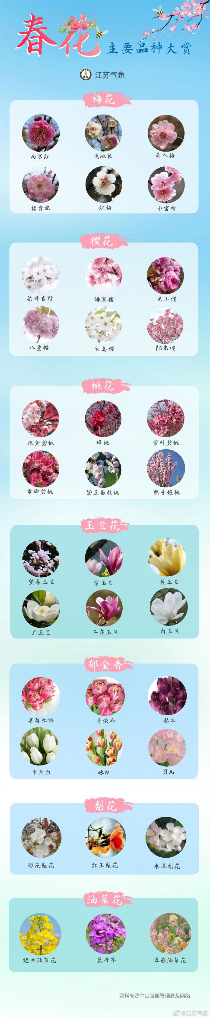 花的开放时间,茉莉花的开放时间