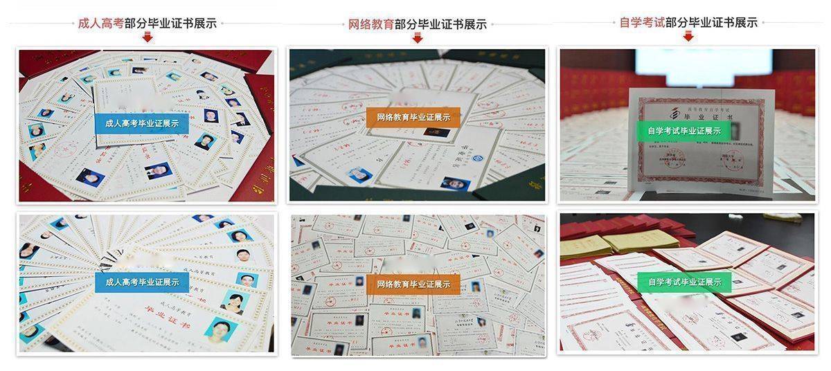 毕业证证书编号查询,大学毕业证证书编号在哪里查询