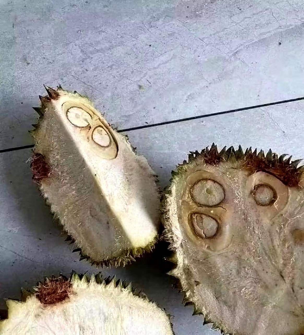 2025年10月3日 第46页