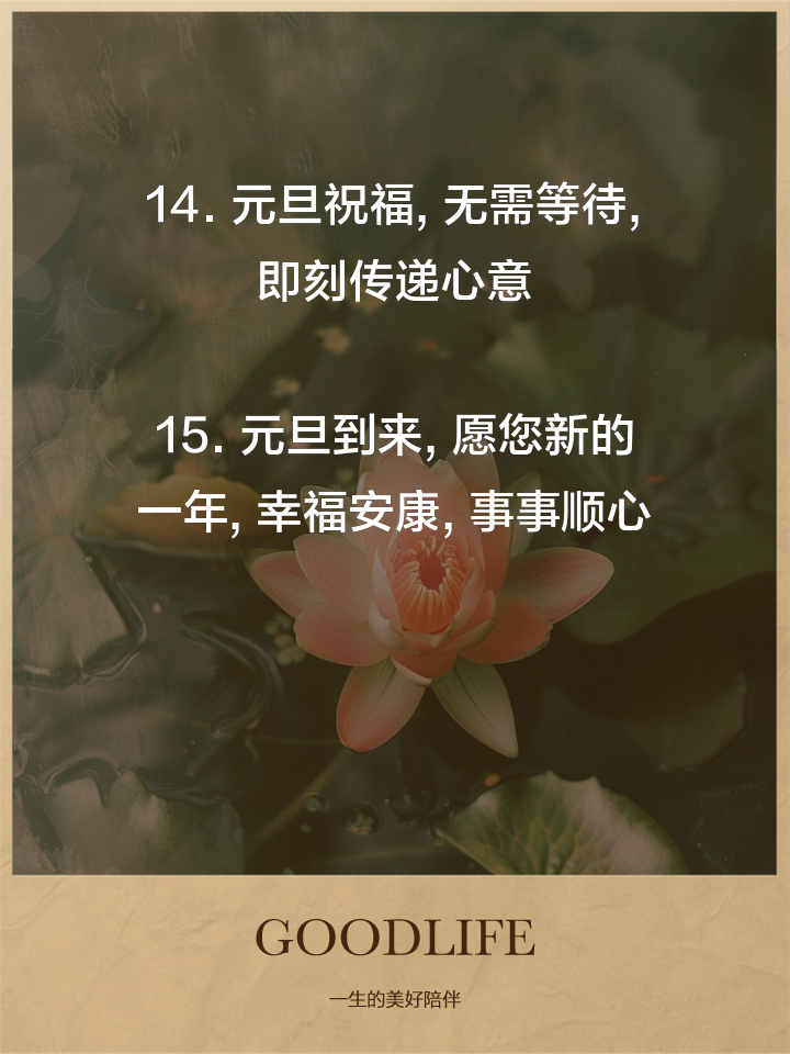 欢庆元旦祝福语,庆元旦祝福短语