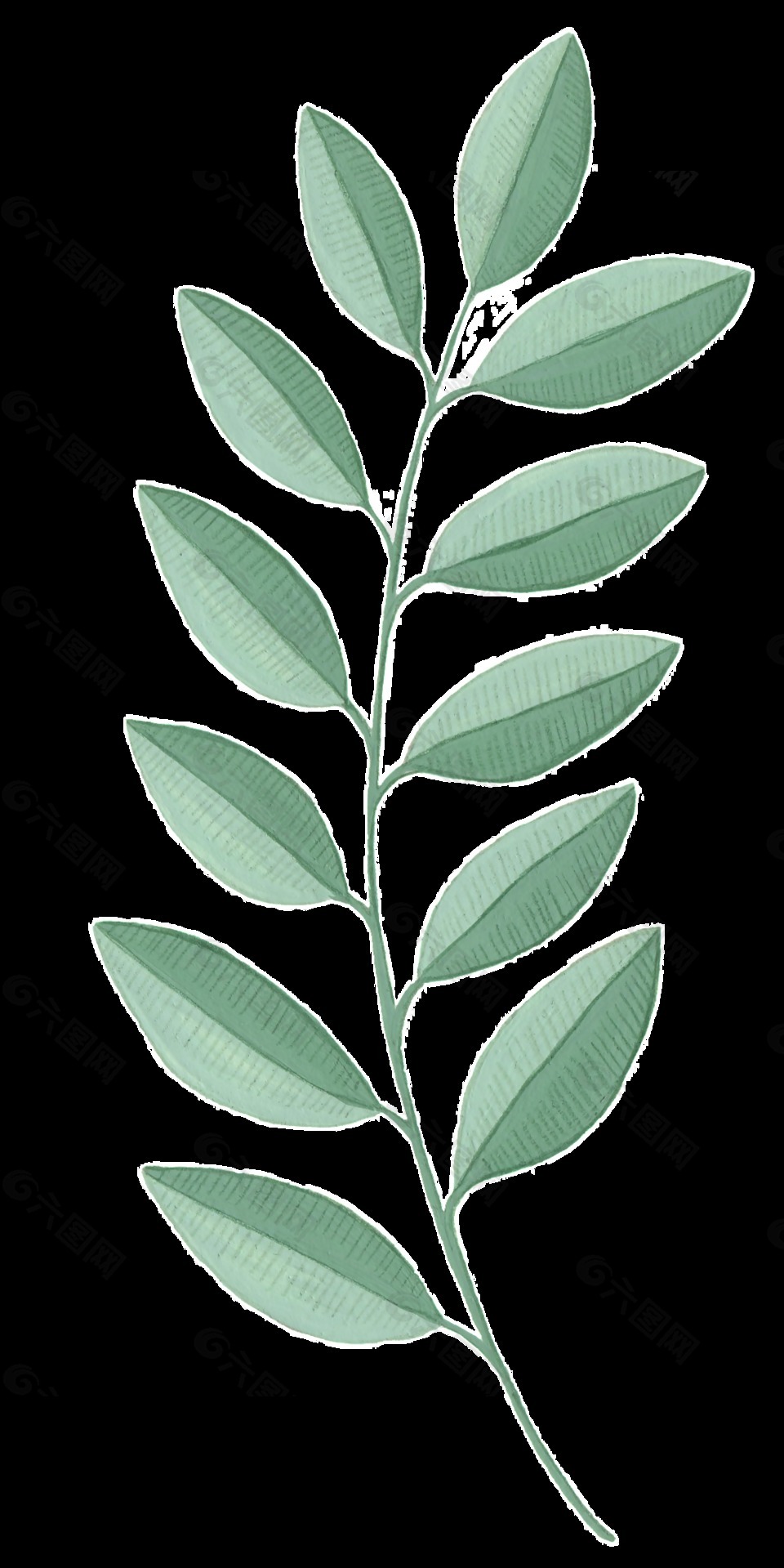 什么是png格式,什么是png图片格式