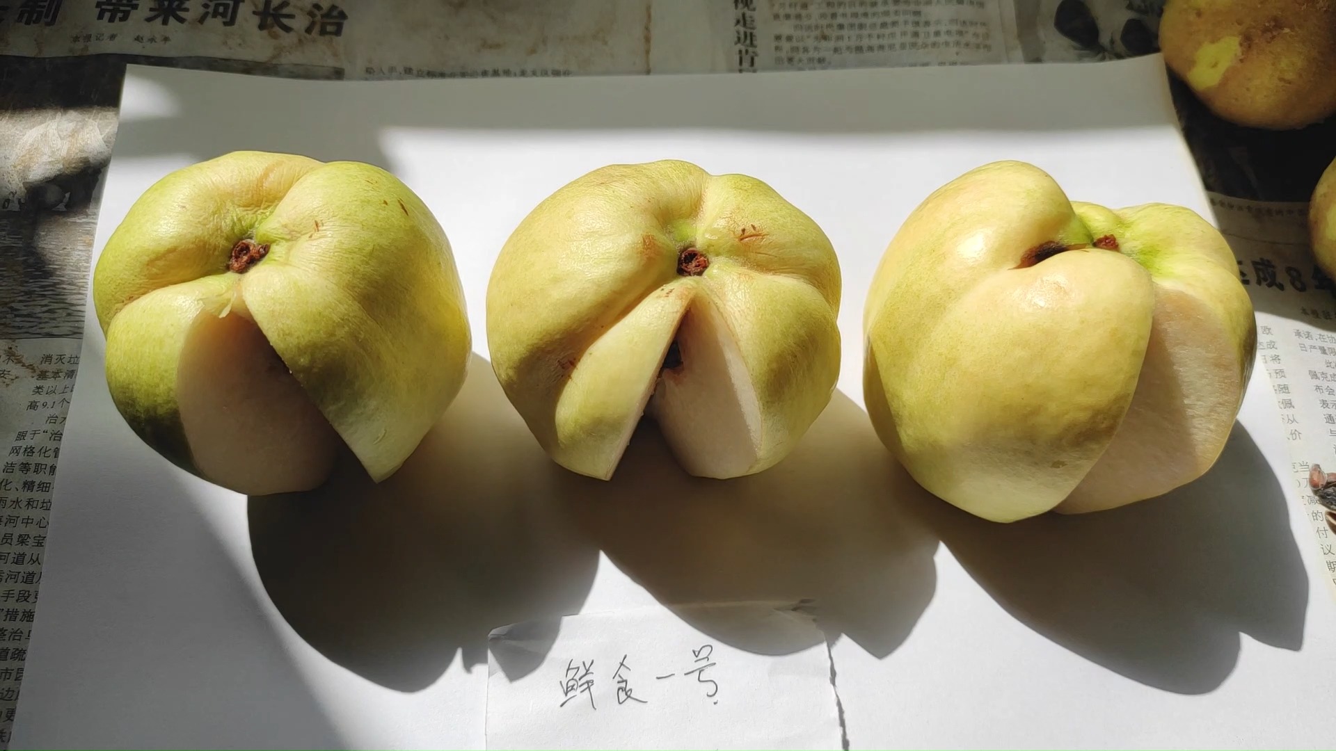 2025年10月4日 第27页