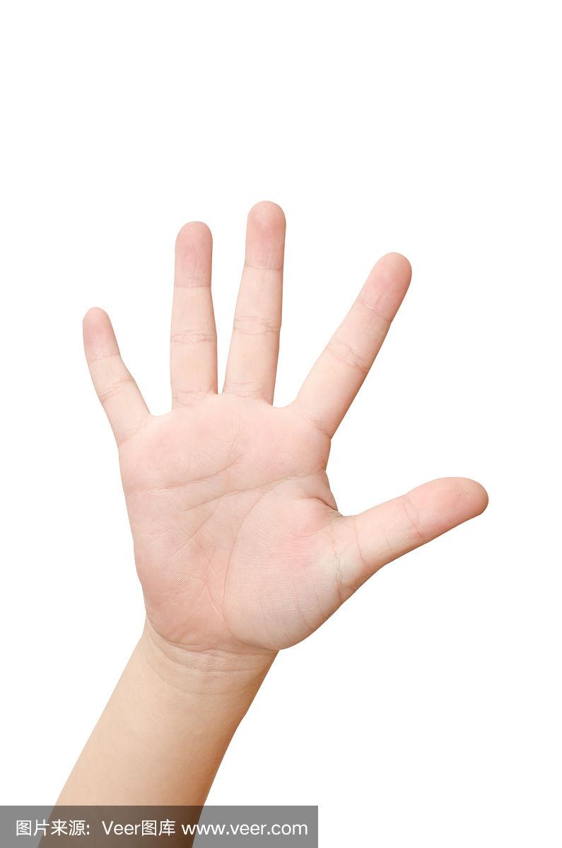 五根手指分别叫什么名字啊,五根手指都叫什么名称图片大全