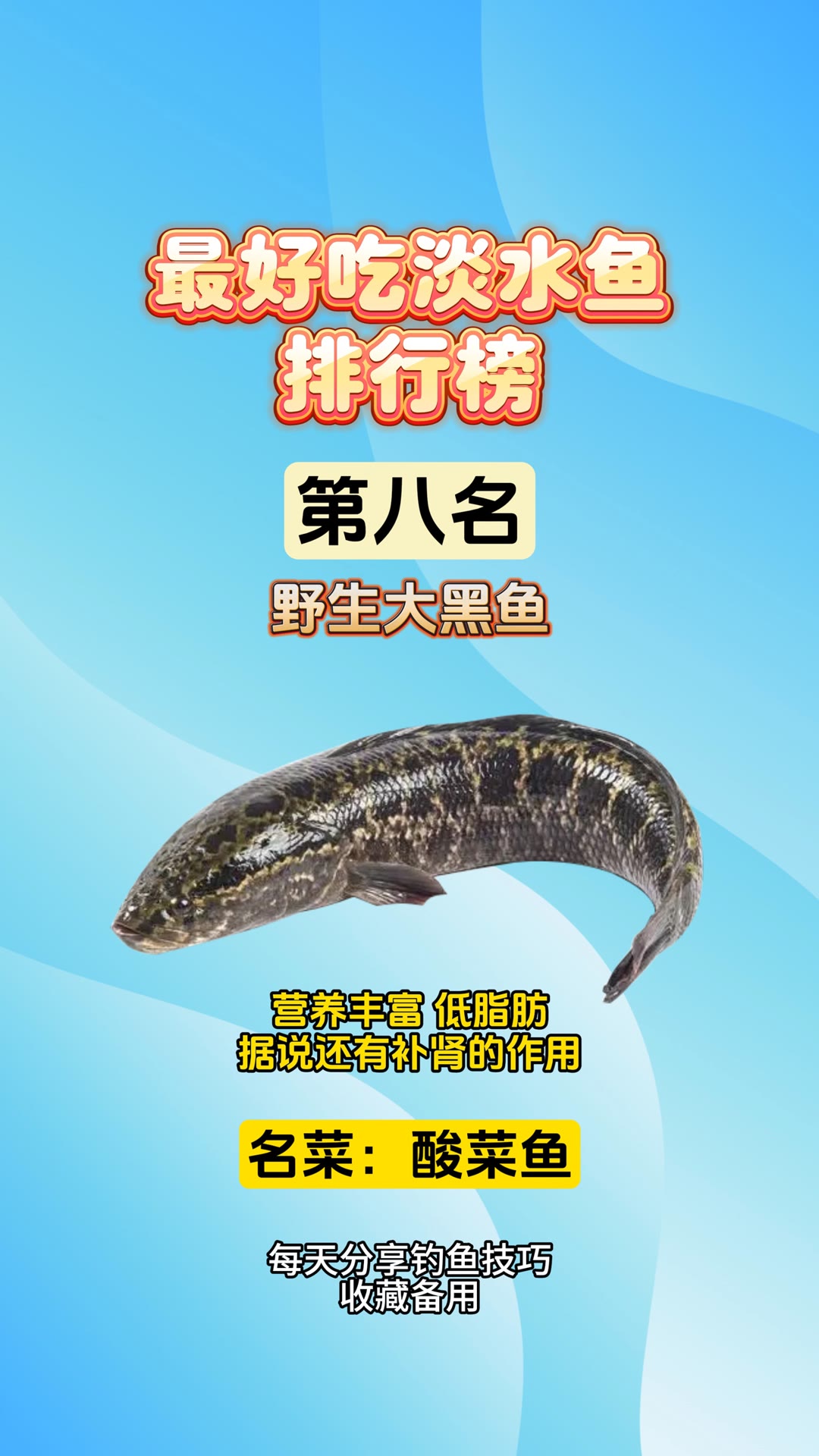 三角峰鱼的介绍,三角峰鱼的功效与作用