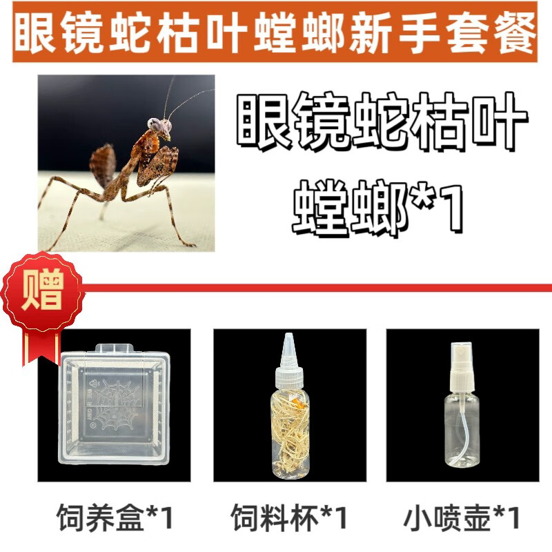 世界上有几种枯叶螳螂,枯叶螳螂是益虫还是害虫