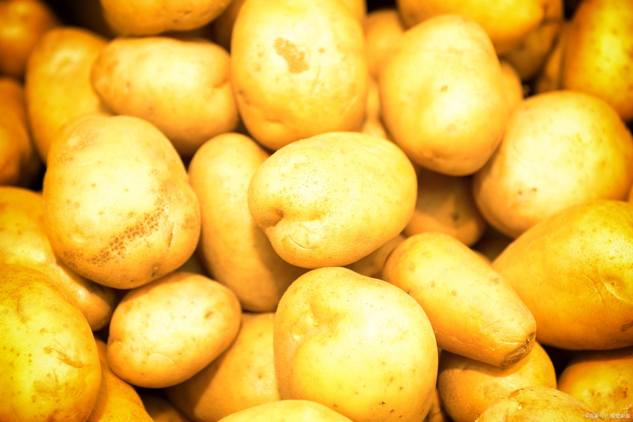 红土豆和黄土豆的区别,红土豆和黄土豆的区别在哪里